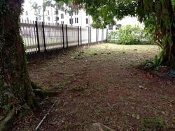Balmoral Park (D10), Detached #585446441
